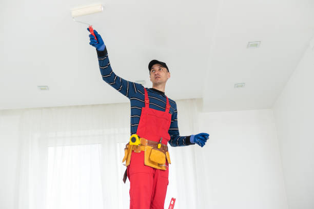 Best Water-Damaged Drywall Repair  in Spring Grove, IL